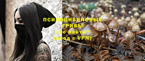 винт Алексин