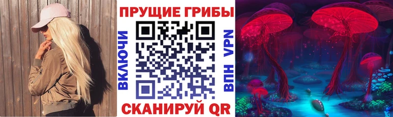 цена наркотик  Гаджиево  кракен ссылки  Галлюциногенные грибы Magic Shrooms 