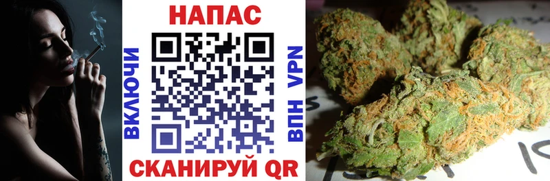 Марихуана гибрид Гаджиево